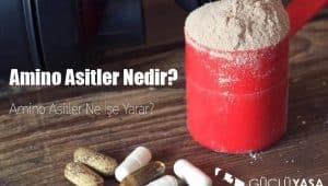 amino asitler nedir ne ise yarar hq orig 300x170 - Amino Asitler