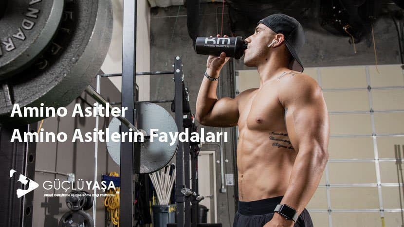 amino asitler ve amino asitlerin yararlari gorseller 0 830x467 mq orig - Supplementler