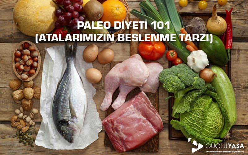 paleo diyeti 101 hq 3 orig 800x500 - Diyetler