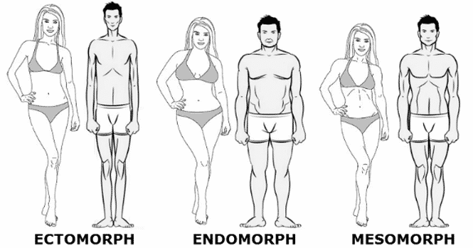 v cut tipi 5 - Hangi Vücut Tipine Sahipsiniz | Ektomorf, Endomorf veya Mezomorf